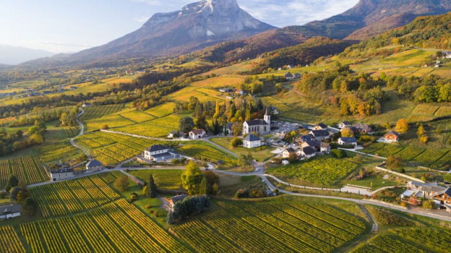 the village of Apremont, Savoie, France and its vineyards