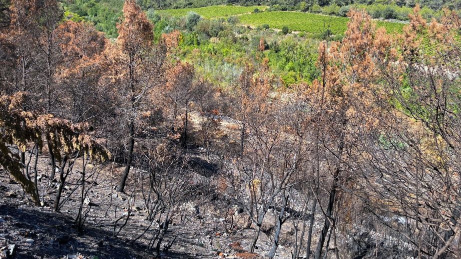 Corbières fires taken by Louise Hurren