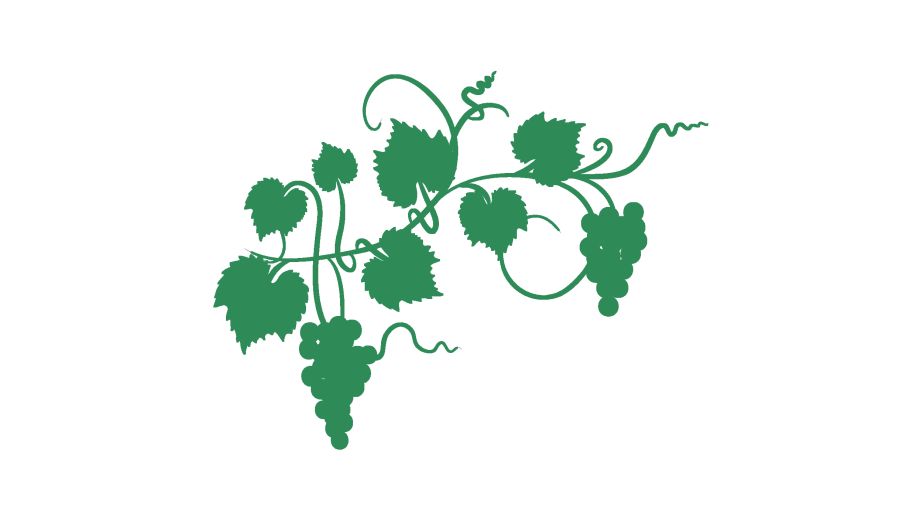 Green grapevine. Image by diane555 via iStock.