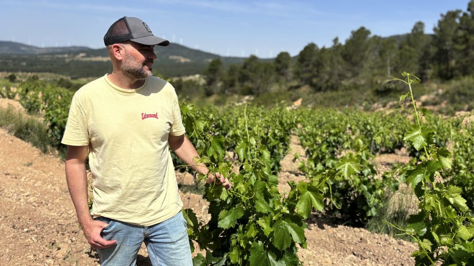 Javi Revert in his vineyard