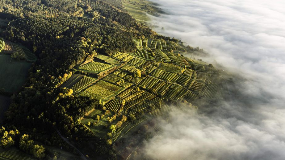 Ried Berg Traisental