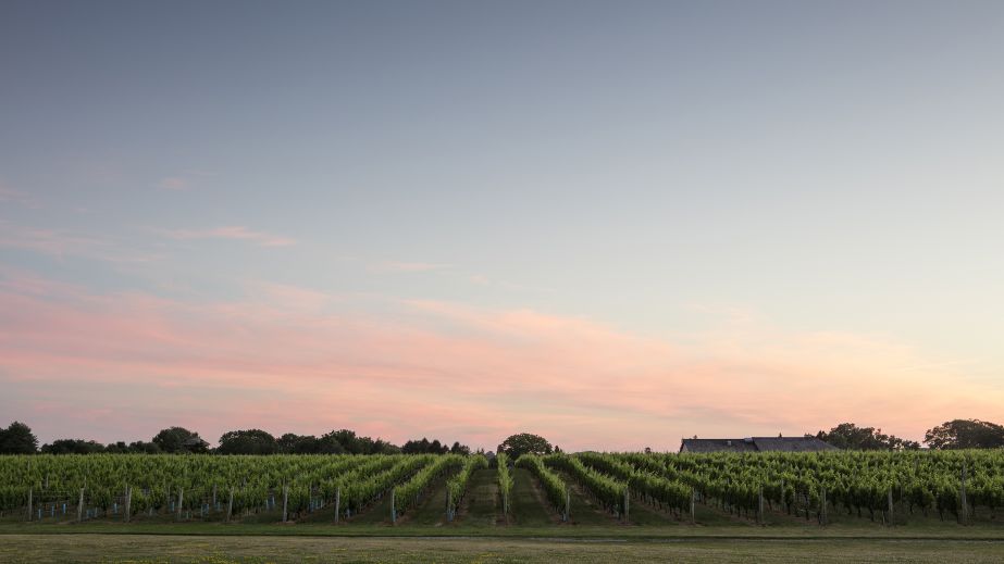 Wolffer Estate at dusk