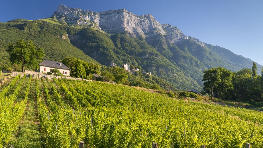  Domaine Saint-Germain vineyard in St-Pierre d’Albigny