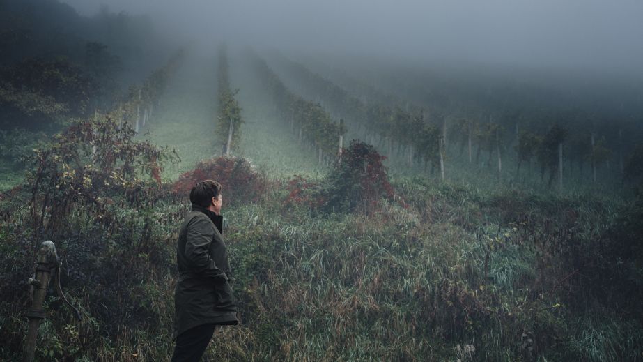 Gerhard Wohlmuth looking up at the Edelschuh vineyard