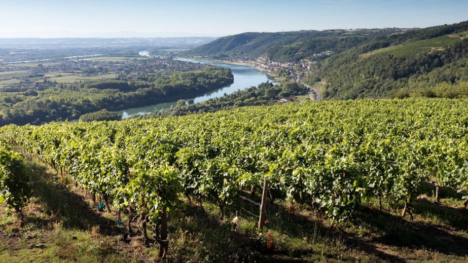 St-Joseph view © Bernard Favre