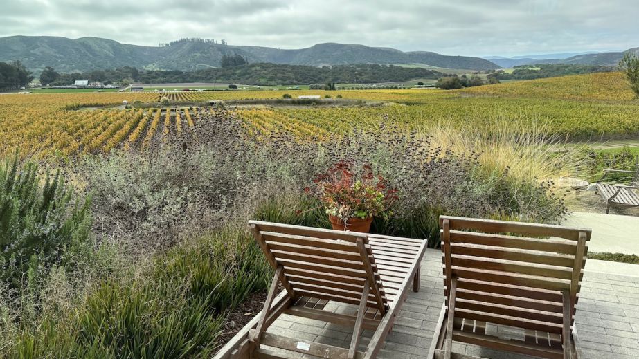 Sta Rita Hills from Mae Estate