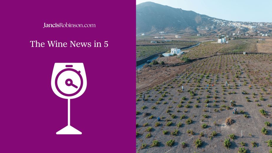 Wine News in 5 image 28 November 2025