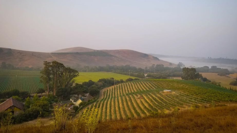 Haliotide - foggy landscape