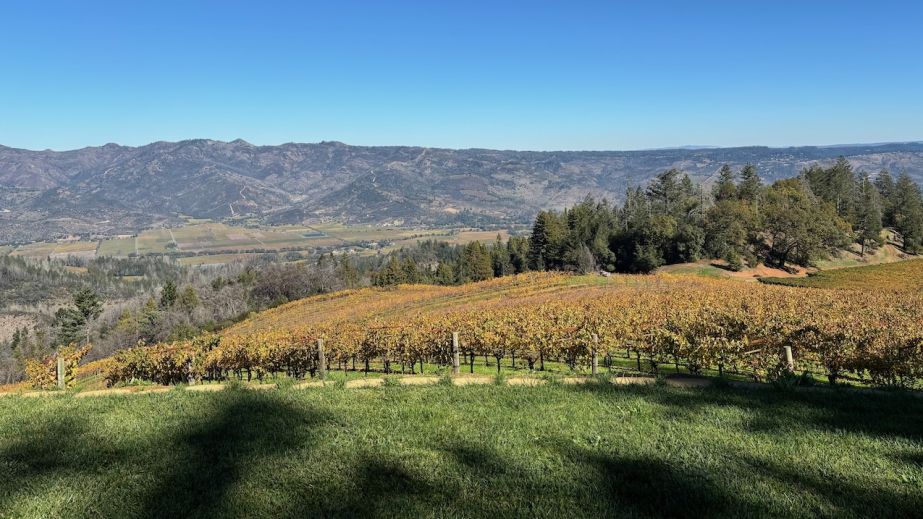 View from Smith Madrone on Spring Mountain