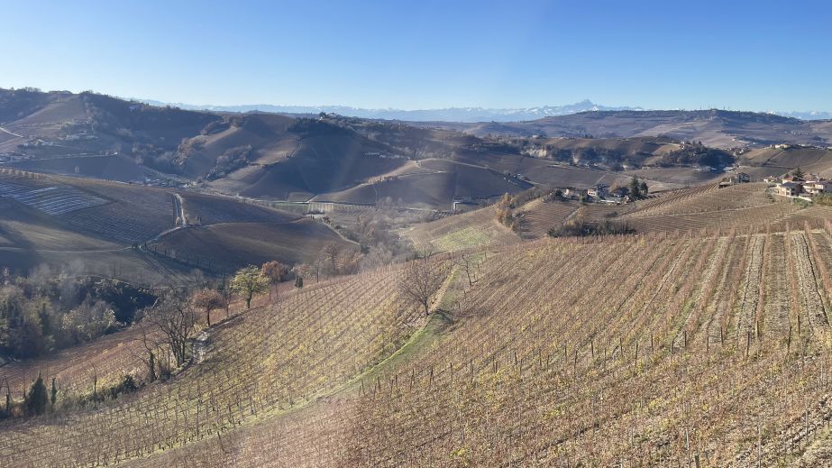 view of Lazzarito and the Alps in the background