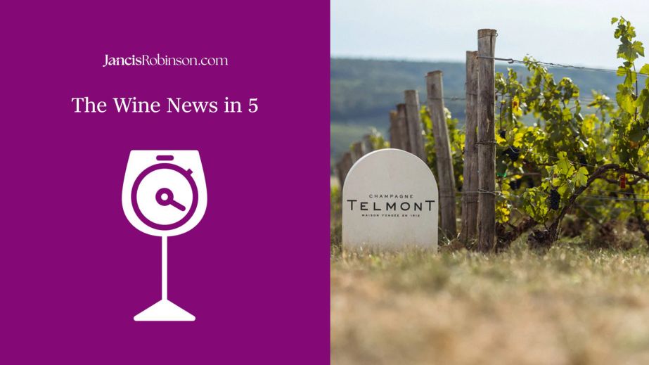 Ch Telmont vineyards and Wine news in 5 logo