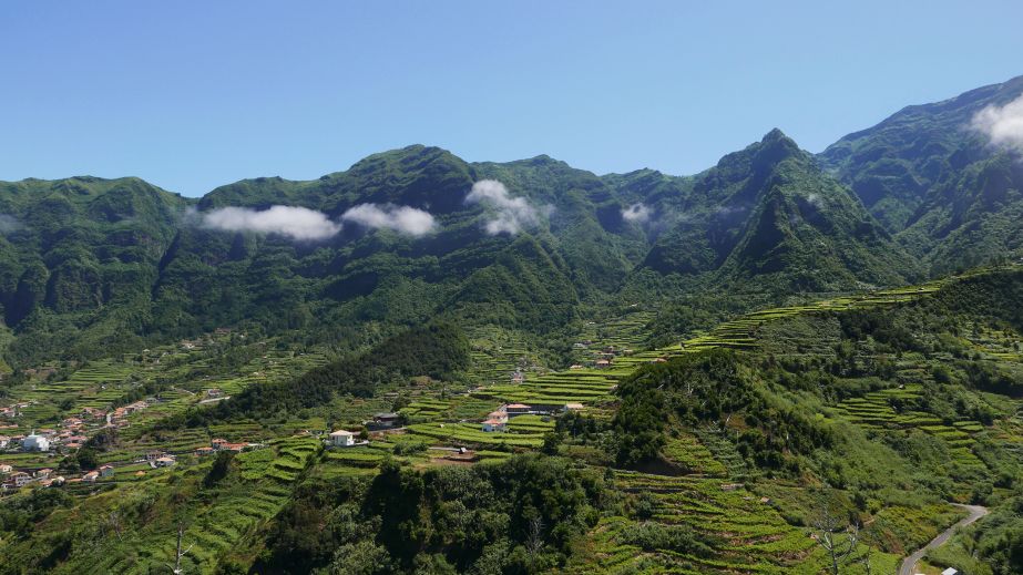São Vicente Madeira vineyards