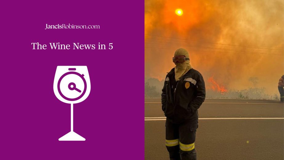 South Africa fires in the Overberg sent by Malu Lambert and wine-news-5 logo