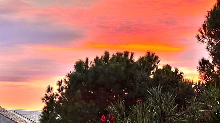 September sunset Domaine de Montrose