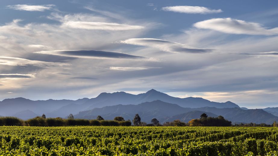 Greywacke's Clouston Vineyard, in Wairau Valley, New Zealand