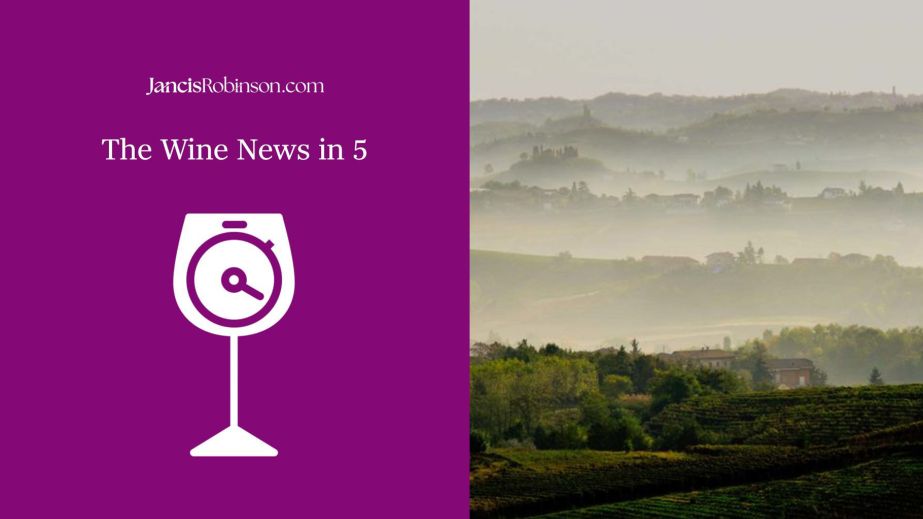 Wine News in 5 logo and Asti vineyard shrouded in fog photo