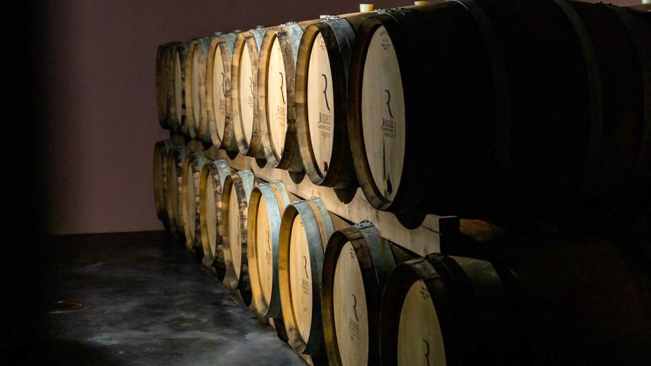 Eric Rodez barrel cellar