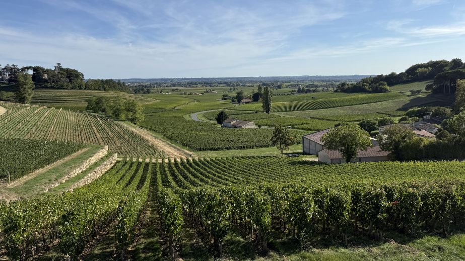 St-Émilion vinescape 17 September 2025