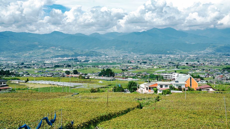 View over the Kofu basin from Fujiclair winery
