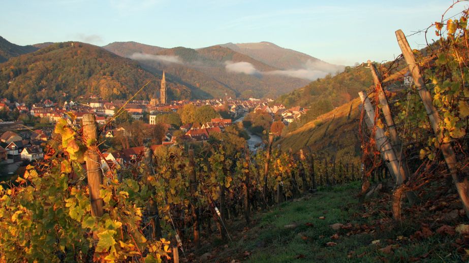 Village of Thann with the River Thur
