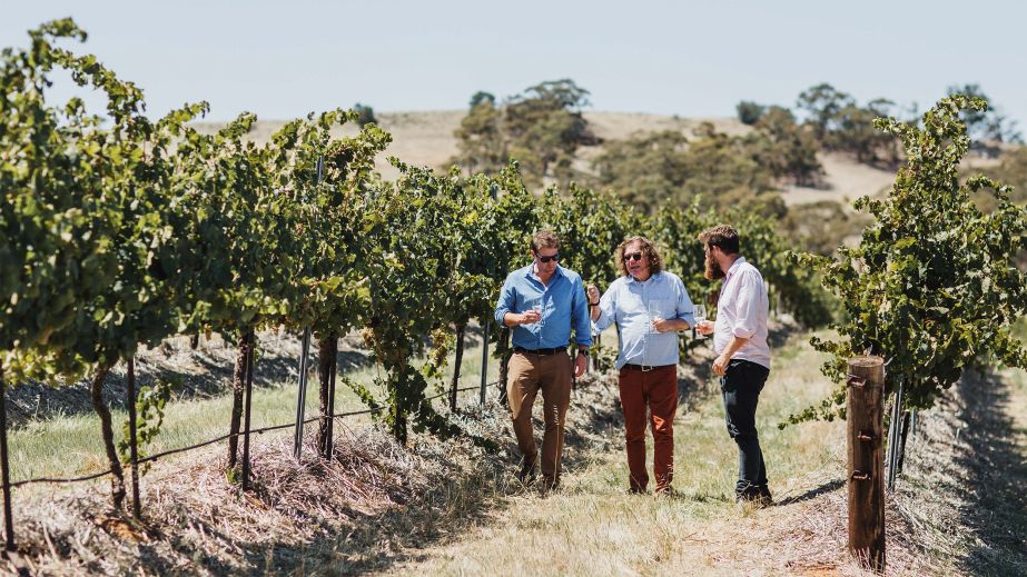 Tom Barry, Erni Loosen and Sam Barry in the Spring Farm vineyard, Clare Valley.