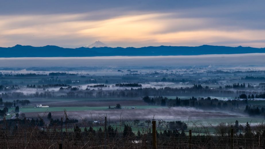 Mr Hood misty morning