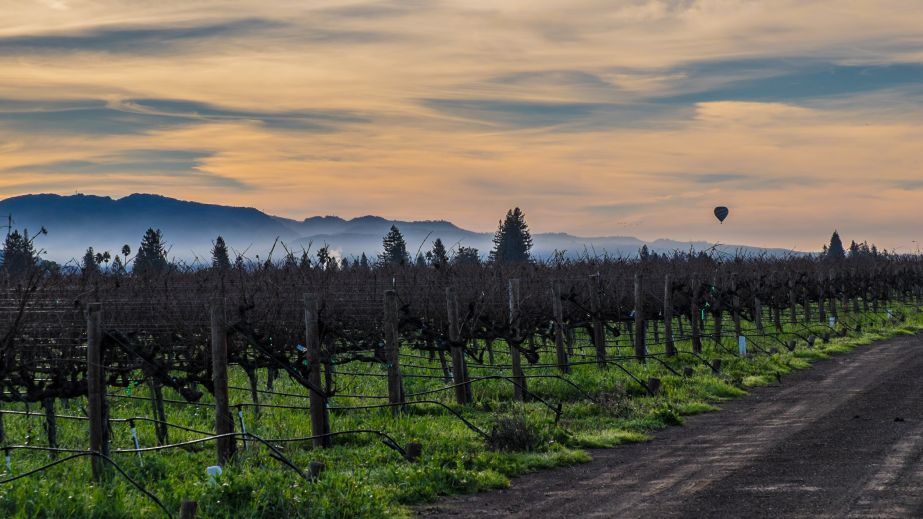 Napa sunrise with hot-air balloon
