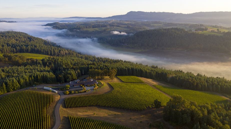 Penner-Ash vineyard