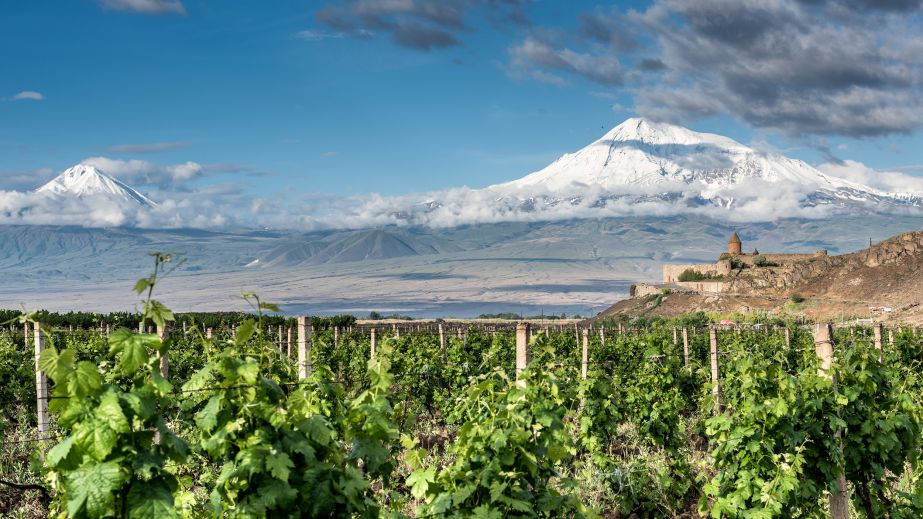 Mt Ararat overlooking vineyards