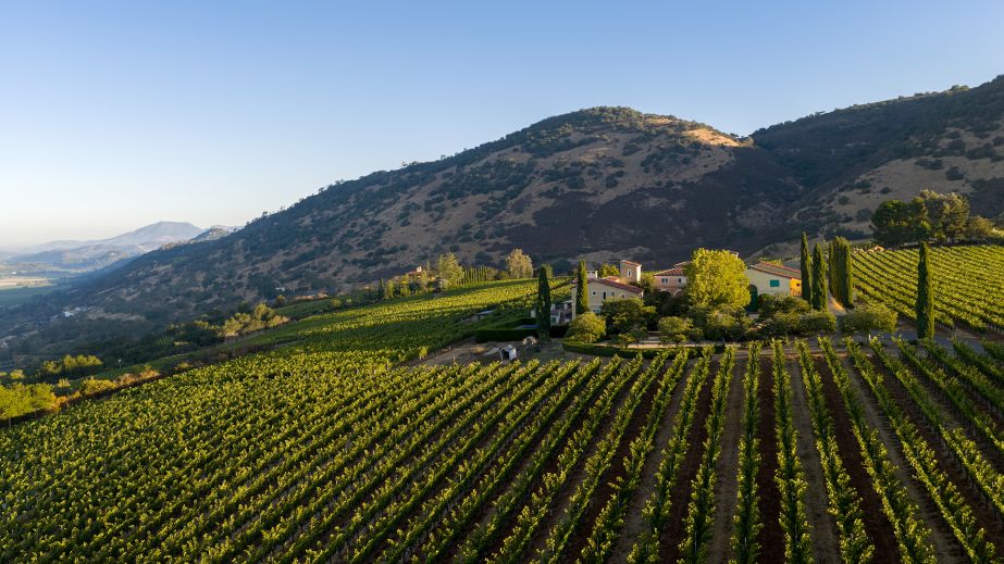 Dalla Valle vineyard