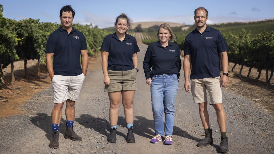 Diemersdal winemaking team