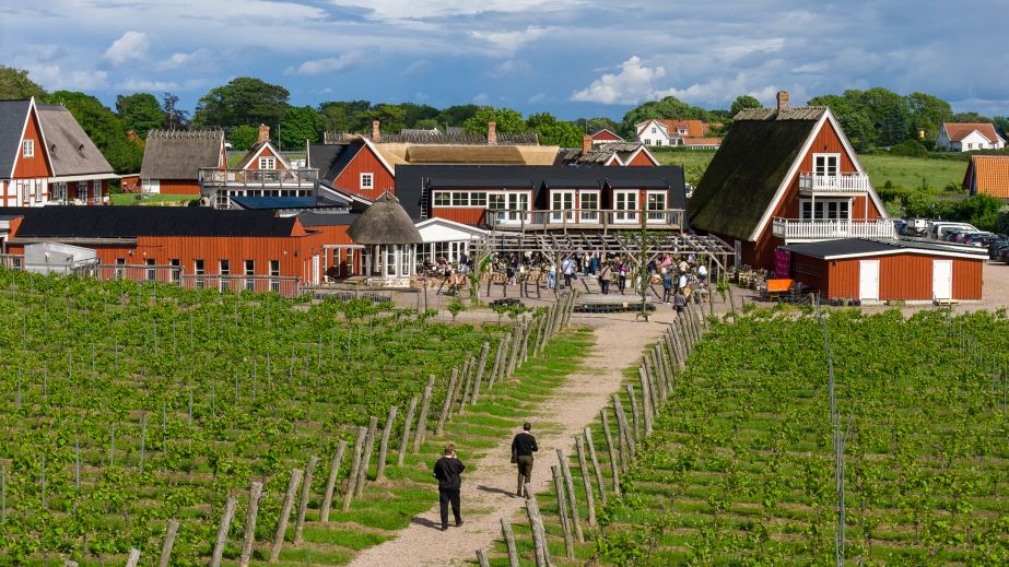 Kullabergs Vingård © Terra Skåne/Jan Kivissar