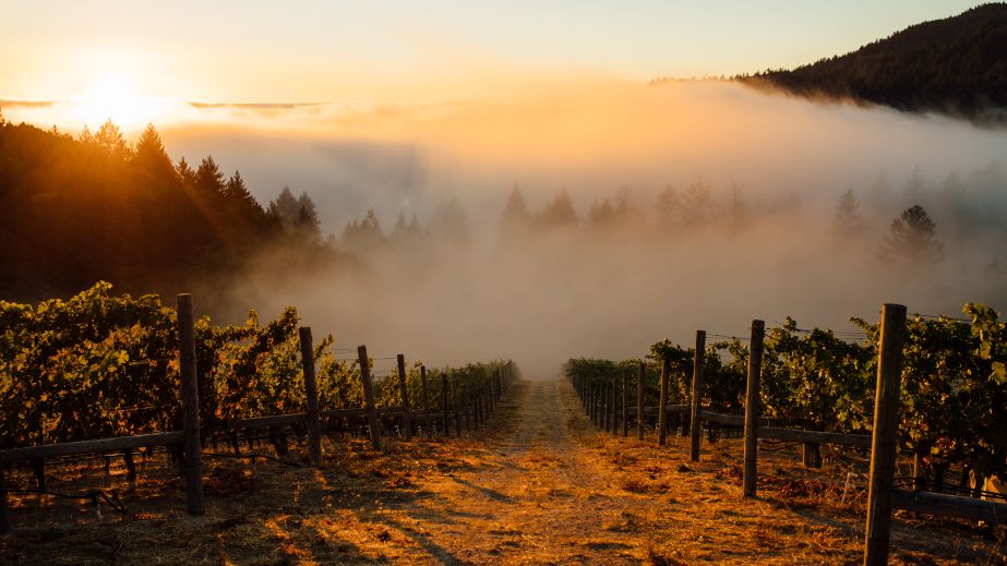 Rudd Mt. Veeder Estate