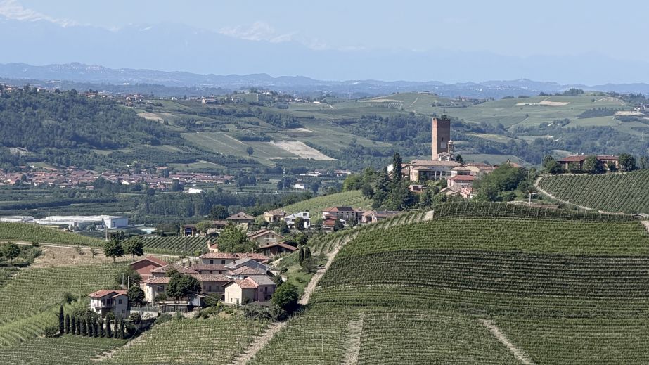 view towards Barbaresco