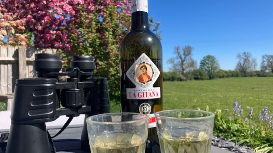 Glasses and a bottle of Sherry
