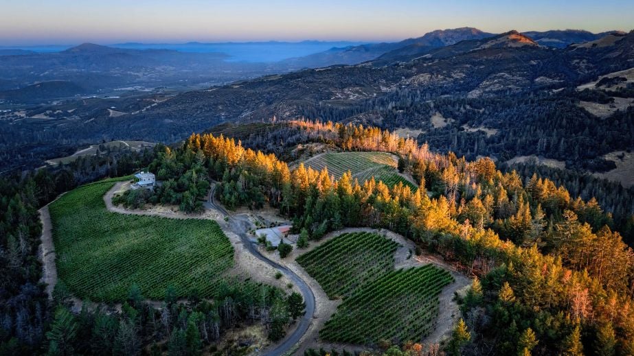 Lasseter Trinity Ridge Vineyard - Michael Housewright photography
