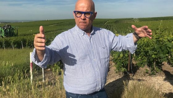Champagne grower Eriz Rodez in his Ambonnay vineyard