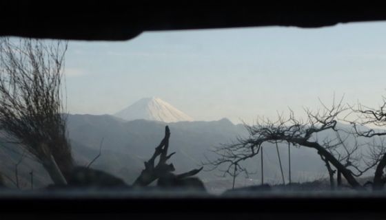 View from 98 Wines across to Mt Fuji