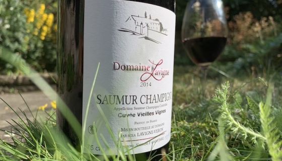 A bottle of Lavigne Saumur-Champigny in a garden