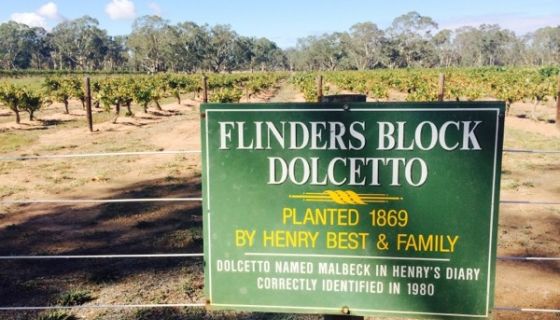 Flinders Block Dolcetto sign