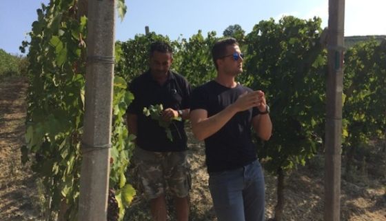 Giorgio Culasso and Giovanni Gaja