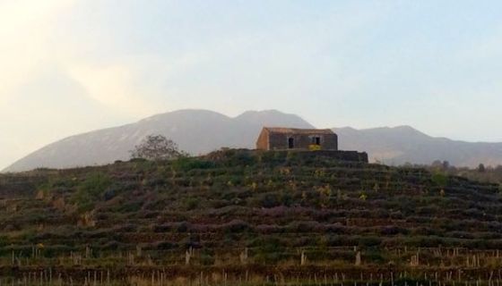 Sout-east side of Etna