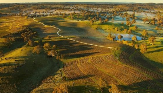 Yalumba and Pewsey Vale vineyards Eden Valley seen from the air
