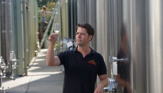 Josh Donaghay-Spire, winemaker at Chapel Down, Kent, England