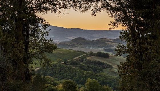 ColleMassari estate in Montecucco, southern Tuscany