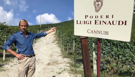 Matteo Sardagna of Podere Luigi Einaudi, Barolo