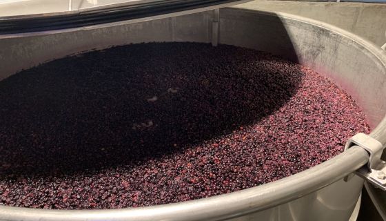 A fermenter of Côte Rôtie 2018