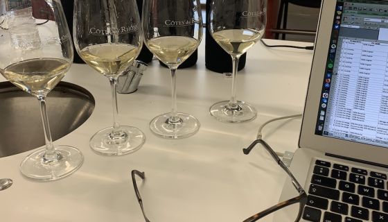 Tasting white Rhônes