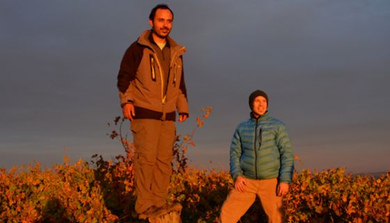 Leonardo Erazo and Justin Decker of Rogue Vine in Itata