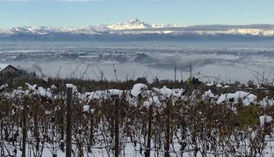 Snow in Verduno, Barolo on 15 November 2019 